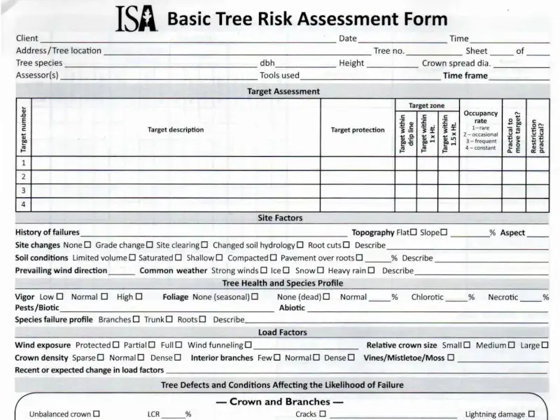 RAPOARTE DE EXPERTIZARE / EVALUARE A RISCULUI LA ARBORI