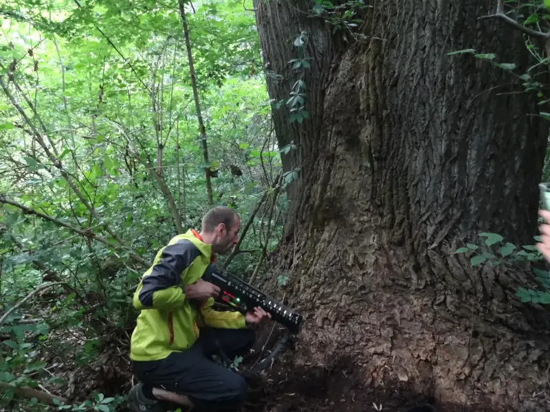 TESTARE - INVESTIGARE