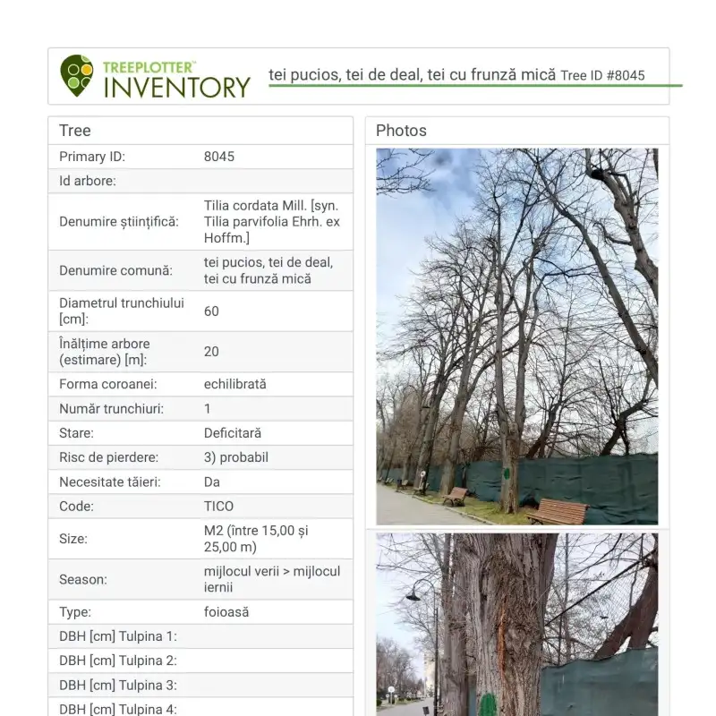 GESTIONAREA ARBORILOR