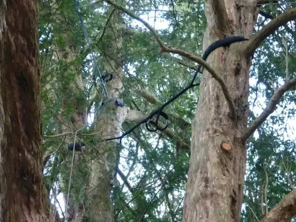 Montare Sisteme de Andocare