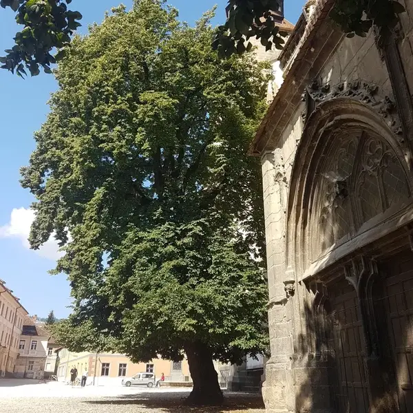 Raport de Expertiză Biserica Evanghelică