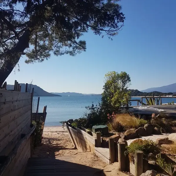 Întreținere arbori Grand Hotel Cala Rossa