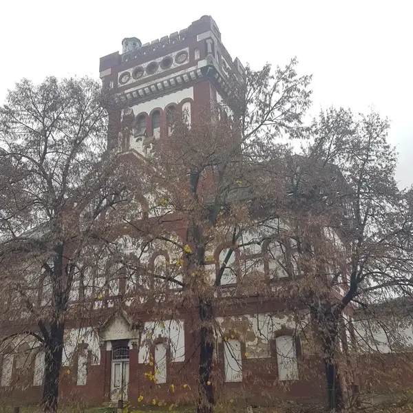 Raport de Expertiză