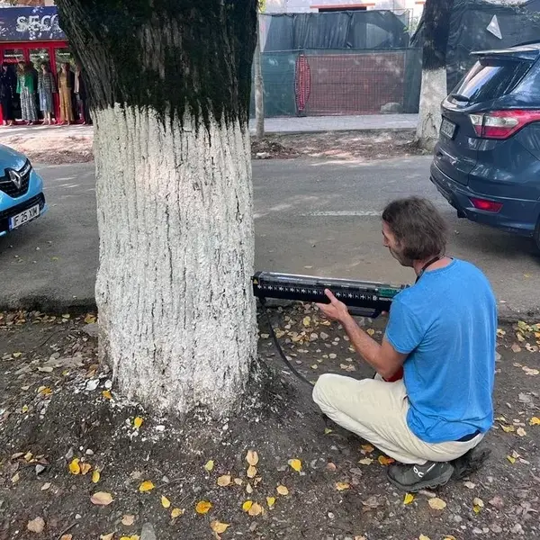 Raport de Expertiză