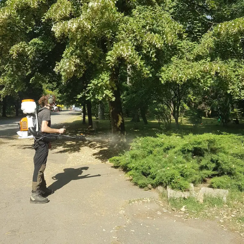 TRATAMENTE FITO-SANITARE